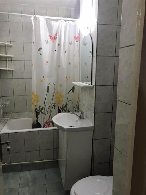 Apartament Confortabil 皮特什蒂 外观 照片