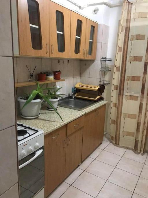 Apartament Confortabil 皮特什蒂 外观 照片
